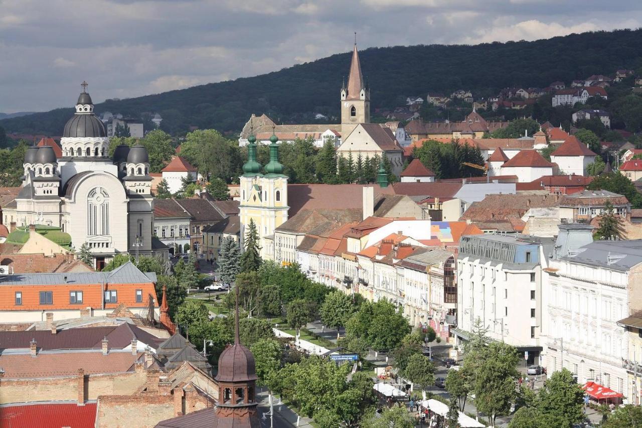 Butterfly Apartment-Hidden Gem In The Heart Of Targu Mures Exterior photo